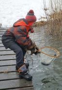 Fish Pond Stocking 2018-10